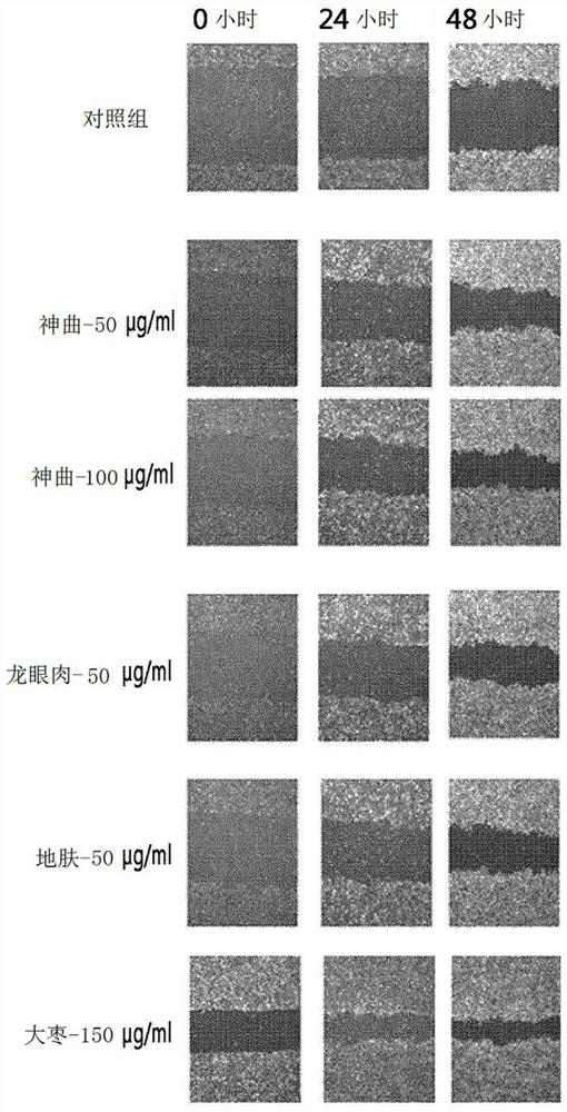 Pharmaceutical composition for wound treatment containing Divine Comedy extract