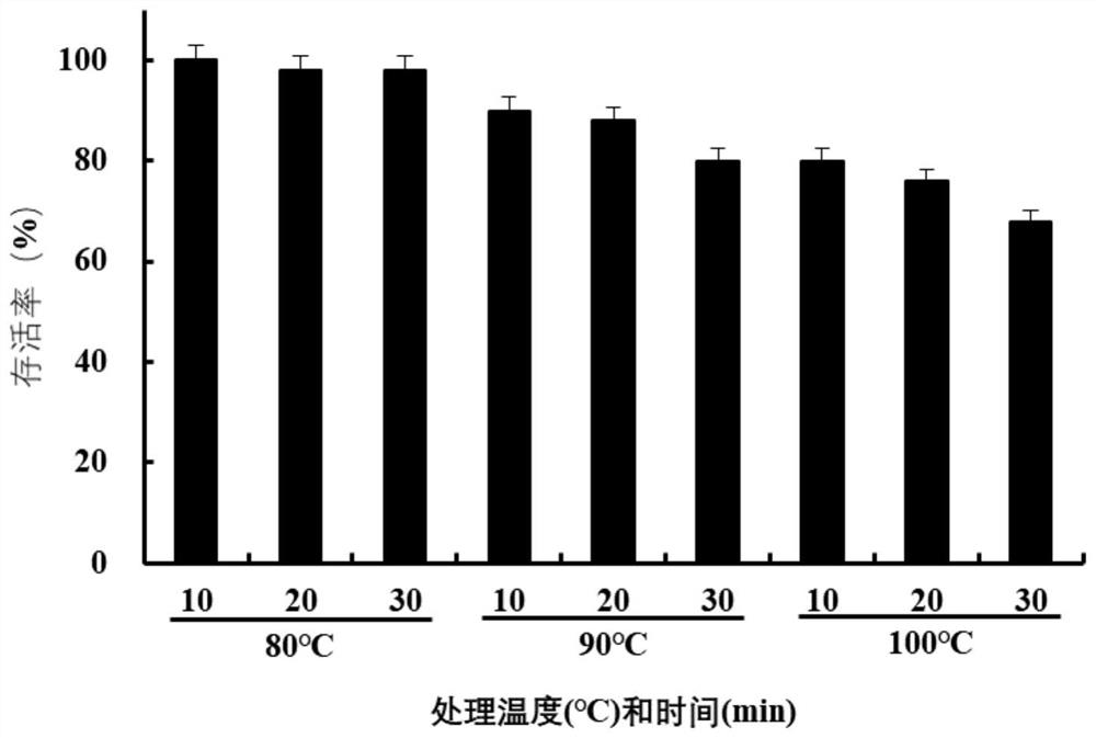 Bacillus coagulans YSF17 and application thereof