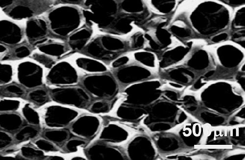 Barium strontium niobate/boron nitride three-dimensional network material and preparation method thereof