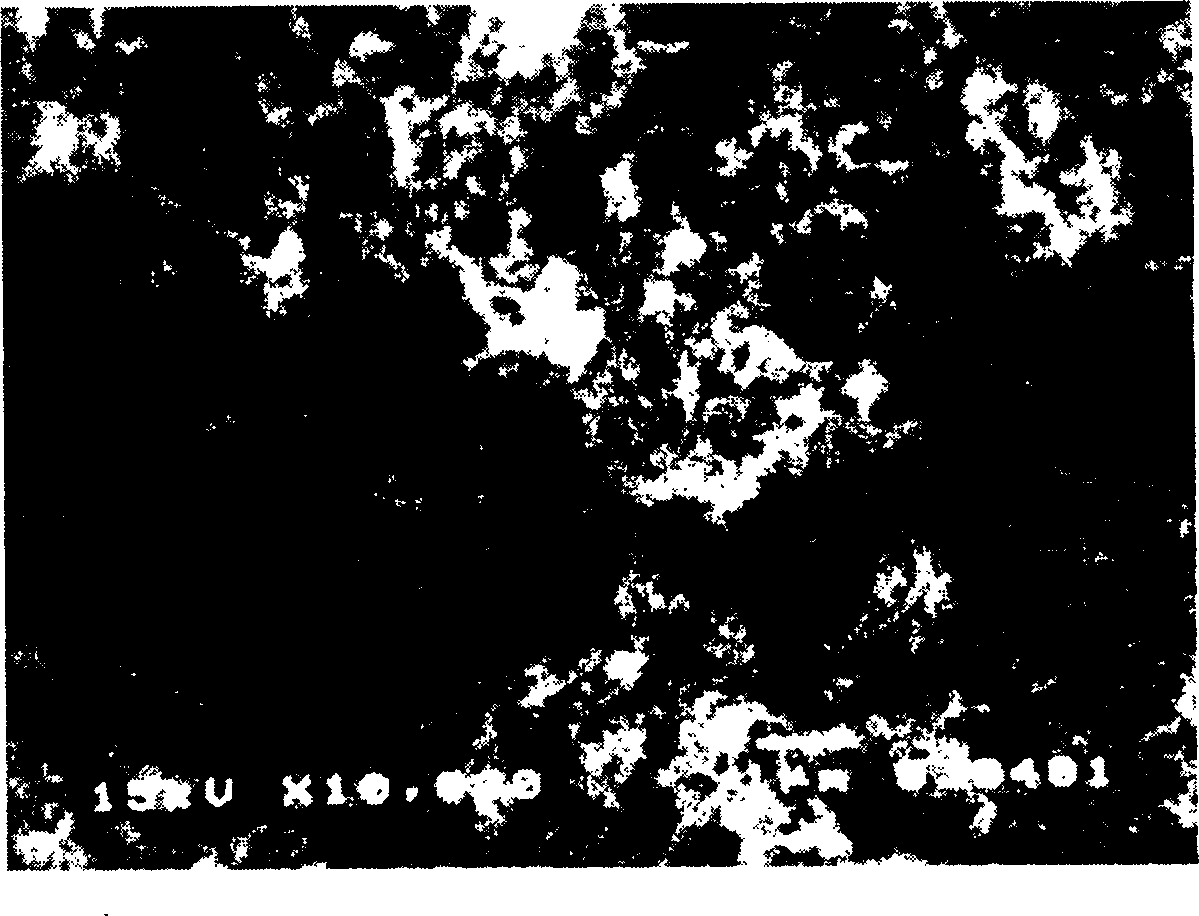 Method for preparing collagen and biological ceramic powder composite material microparticles