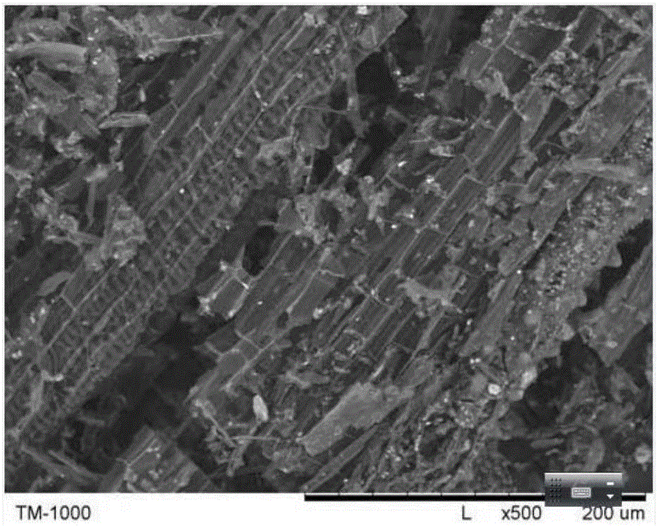 Peach orchard soil conditioner and application thereof