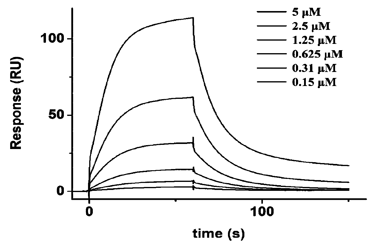 Application of liensinine as 5-lipoxygenase inhibitor