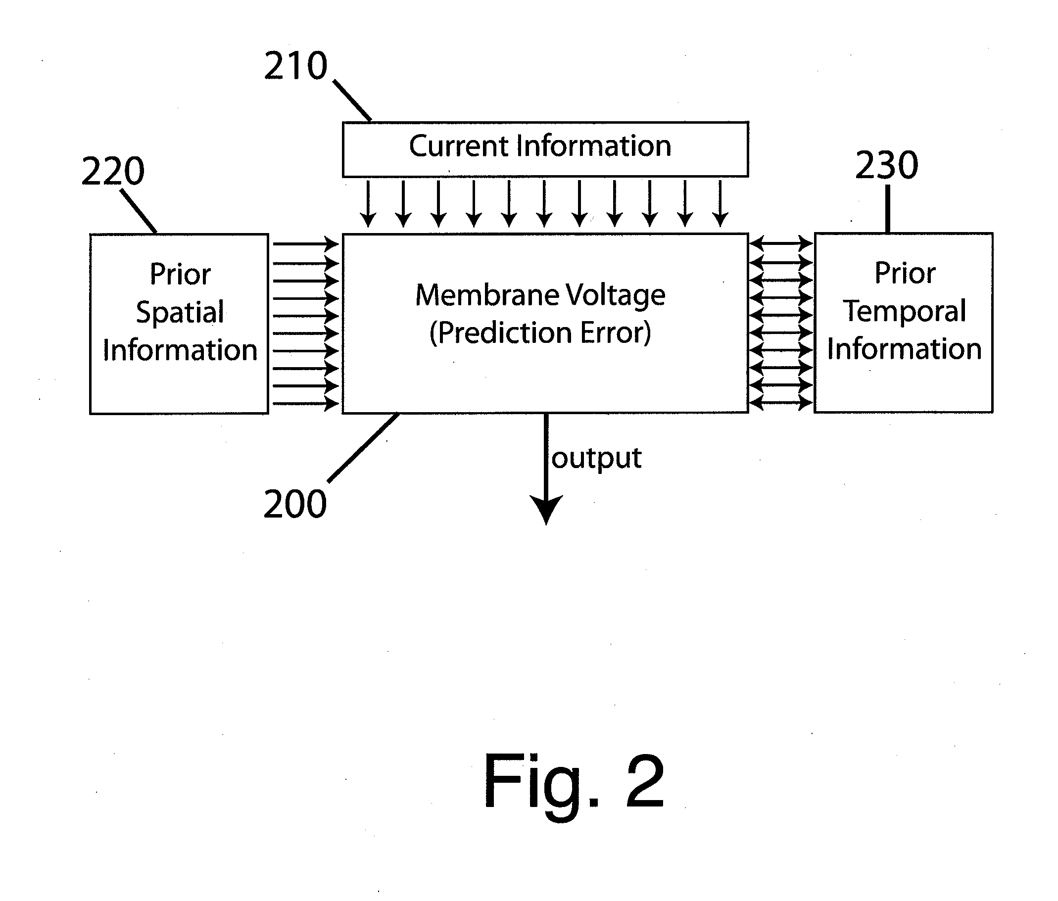 Prediction by single neurons