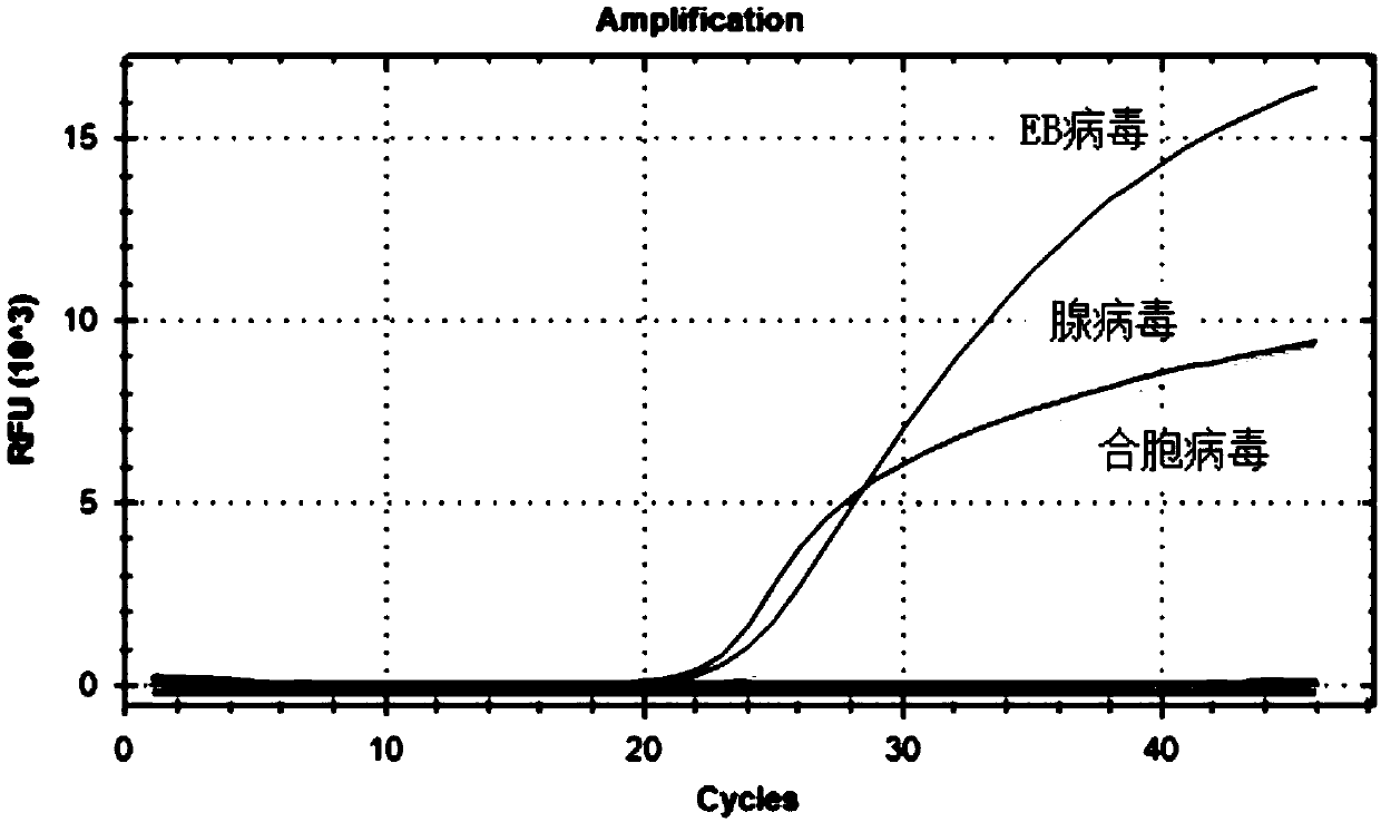 Nucleic acid combination for detecting respiratory virus and application thereof