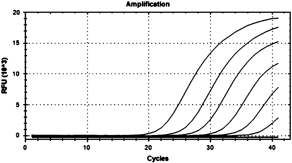 Nucleic acid combination for detecting respiratory virus and application thereof