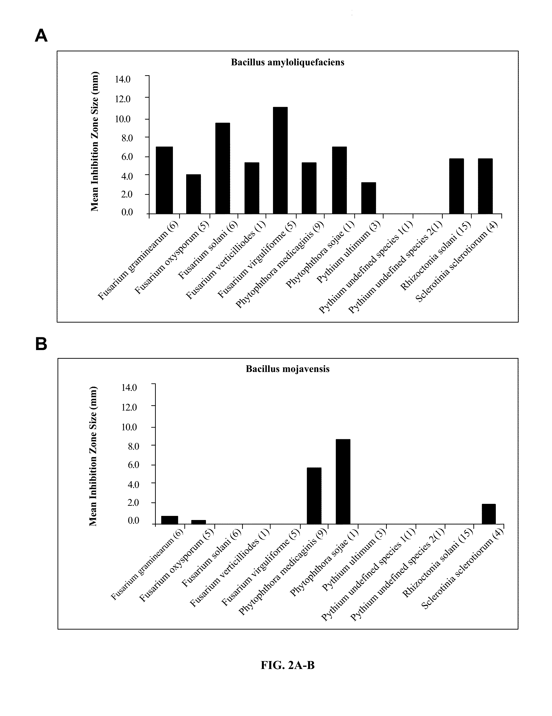 Compositions Comprising Bacillus Strains and Methods of Use to Suppress the Activities and Growth of Fungal Plant Pathogens