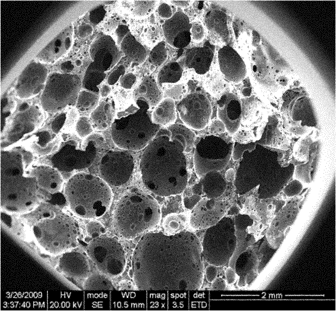 Foam carbon biological support, and preparation method and application thereof