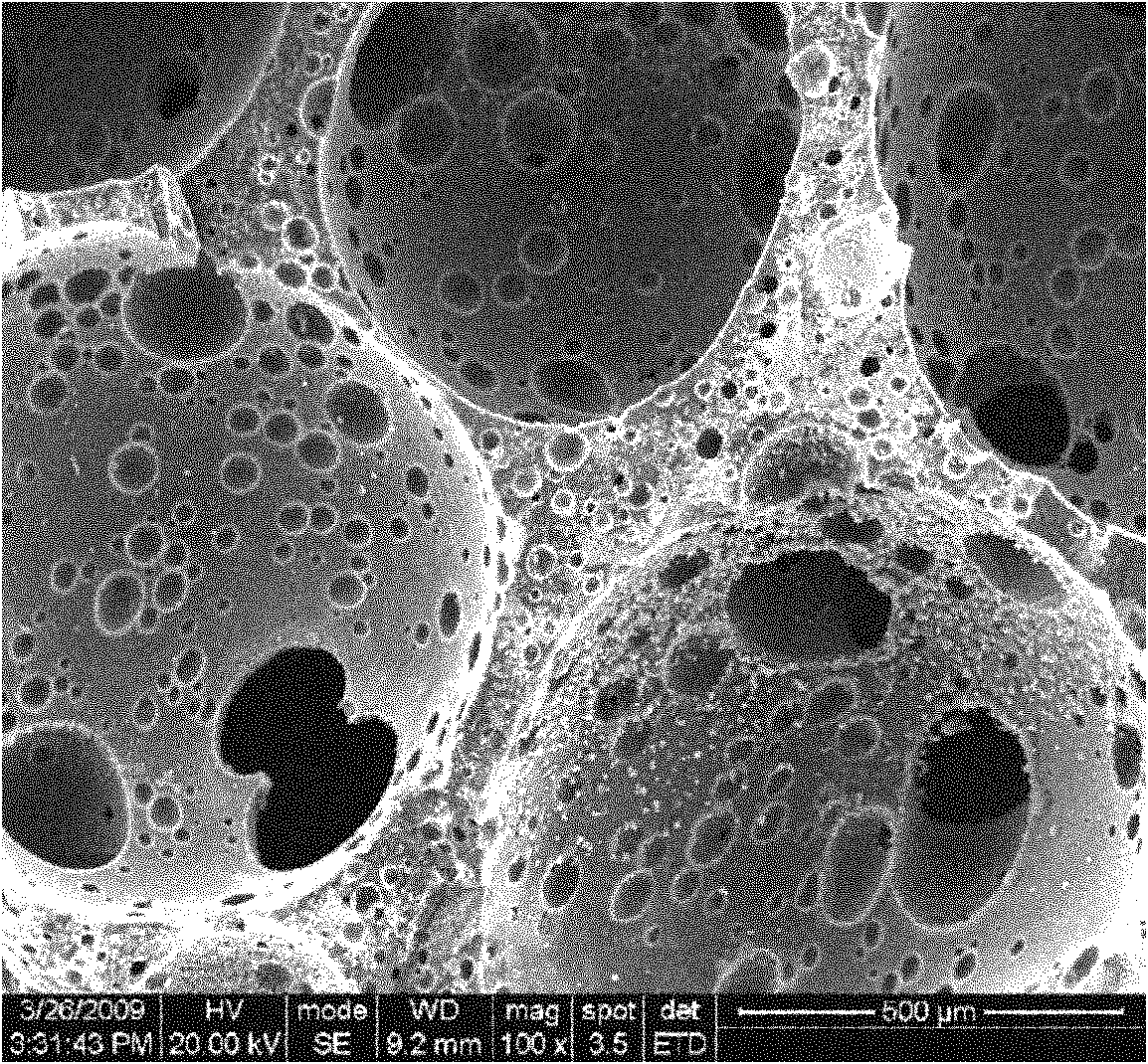 Foam carbon biological support, and preparation method and application thereof