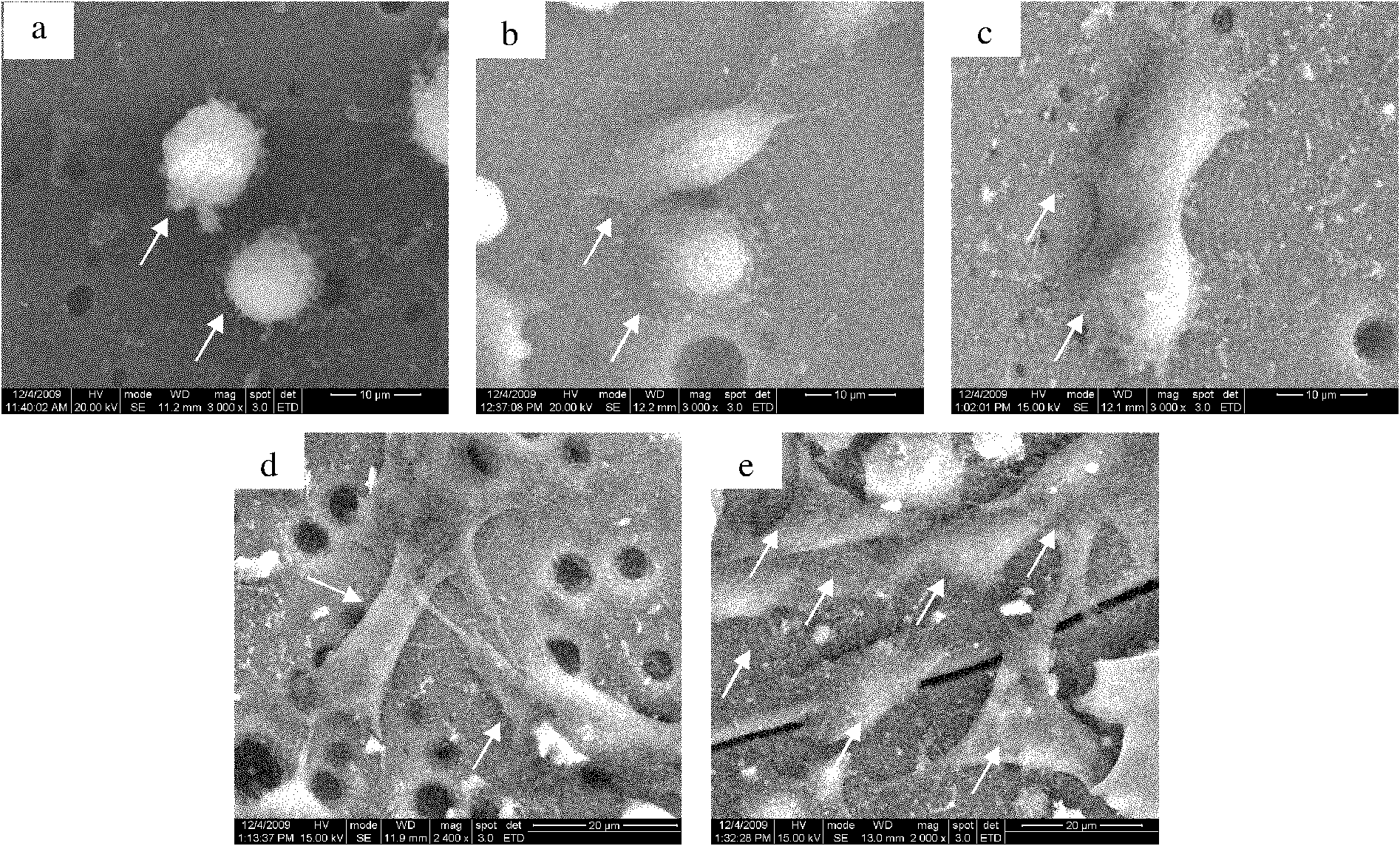 Foam carbon biological support, and preparation method and application thereof