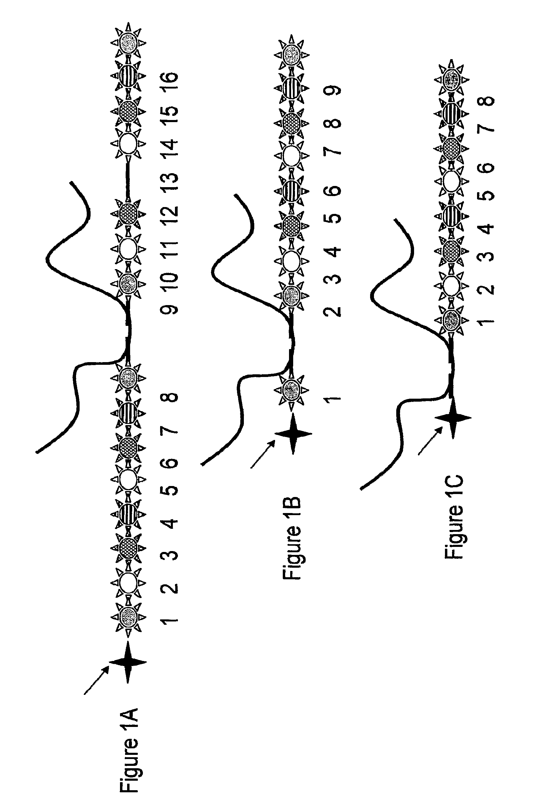 Nanoreporters and methods of manufacturing and use thereof