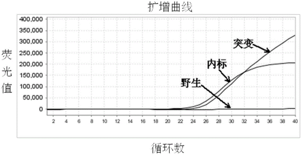 Specific sequence specific primers-polymerase chain reaction primers and kit for human MTHFR and MTRR gene polymorphism detection