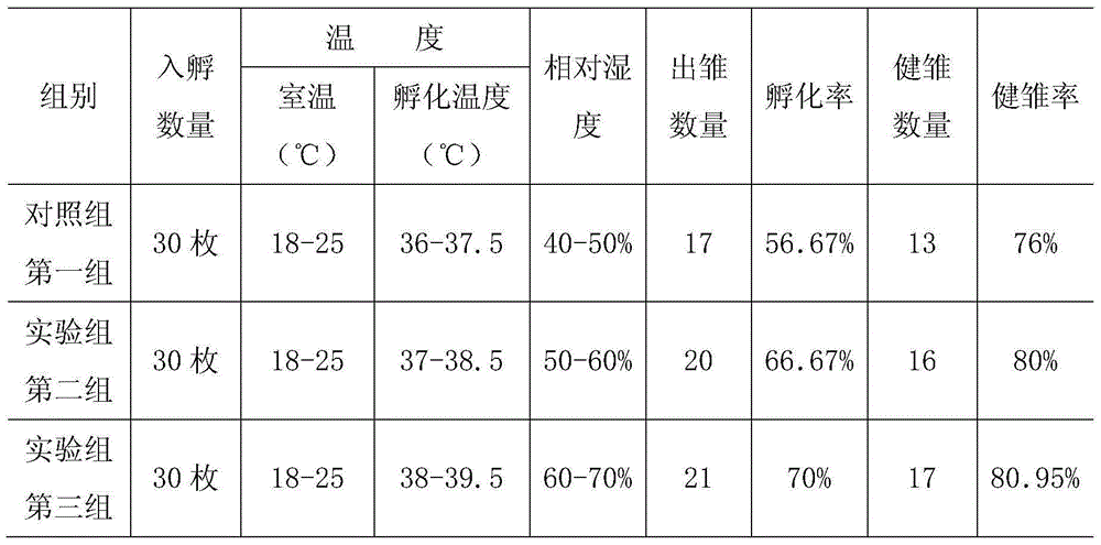 Artificial breeding method of crossoptilon auritum in high-altitude environment