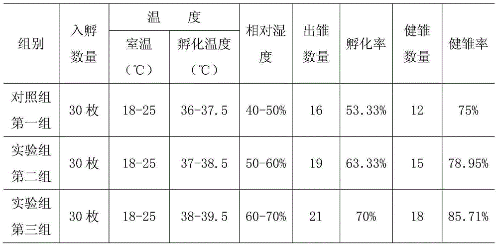 Artificial breeding method of crossoptilon auritum in high-altitude environment