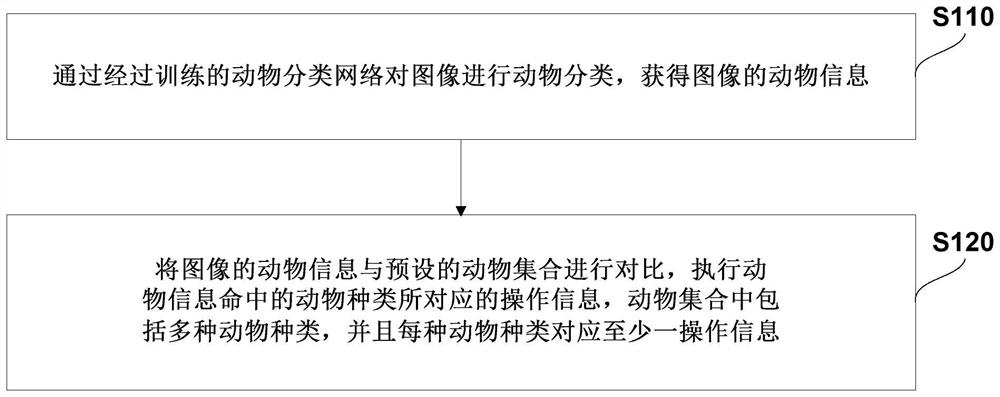 Animal identification method, system and device based on tourism image, and storage medium