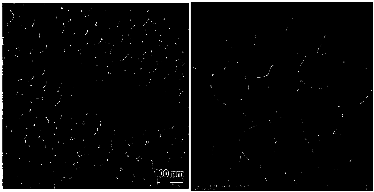 Specific targeted breast cancer cell mesoporous silicon nanometer drug loading system and preparation method thereof