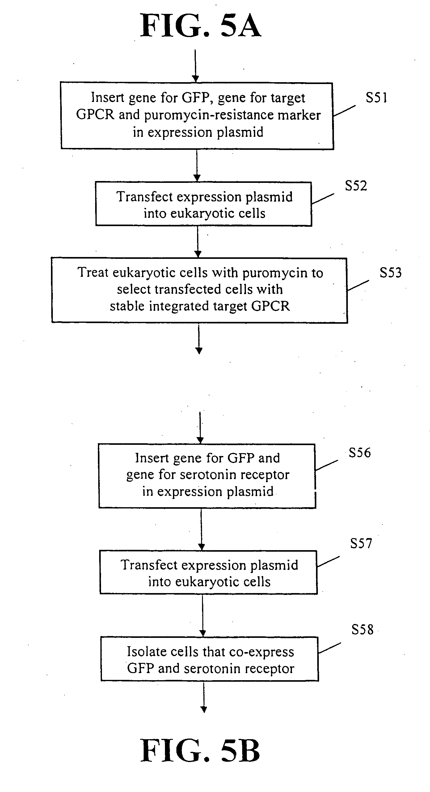 Processing for producing and crystallizing G-protein coupled receptors