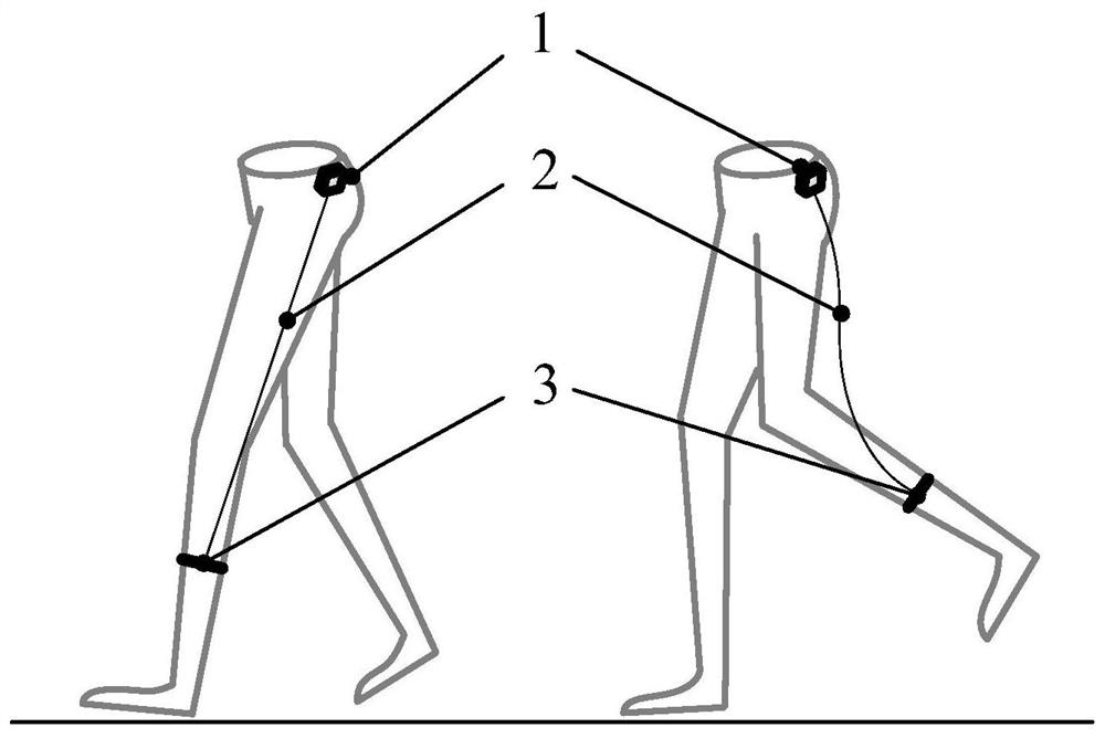 A flexible and strong-driven human body energy harvester