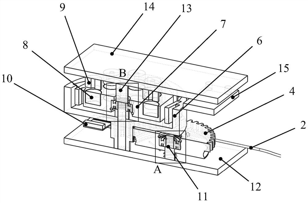 A flexible and strong-driven human body energy harvester