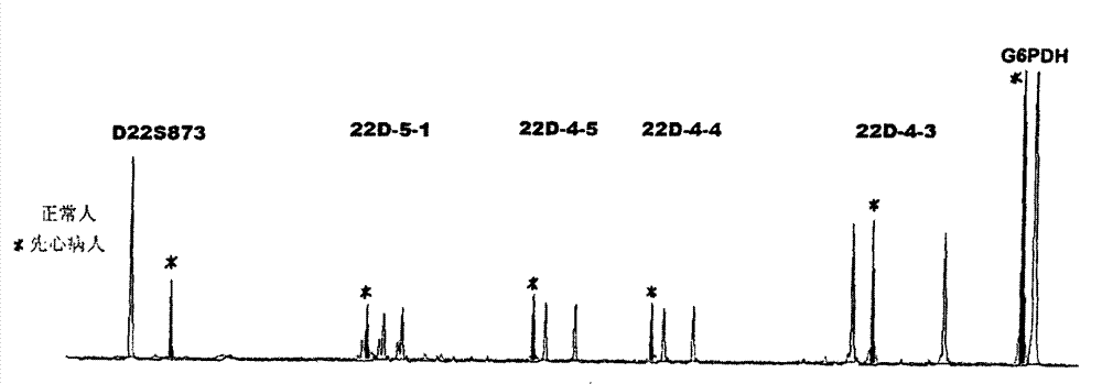 Method for testing chromosome 22q11.2 microdeletion and microduplication