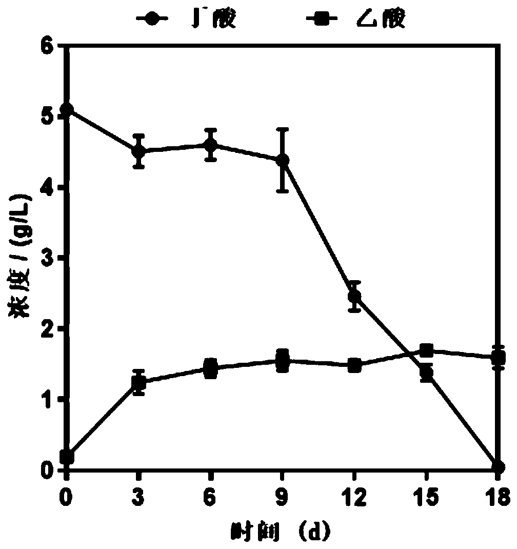 Pit mud flora enrichment method based on oligoculture and application thereof