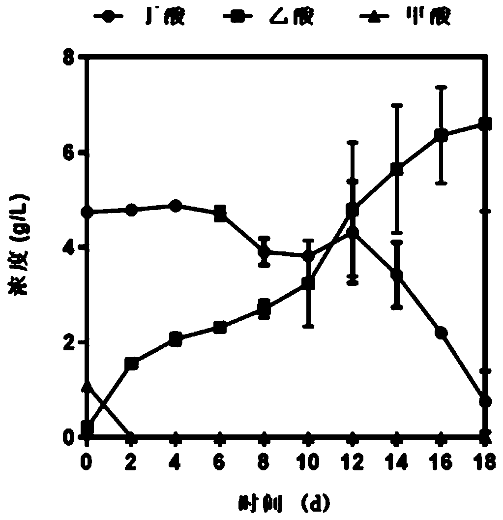 Pit mud flora enrichment method based on oligoculture and application thereof