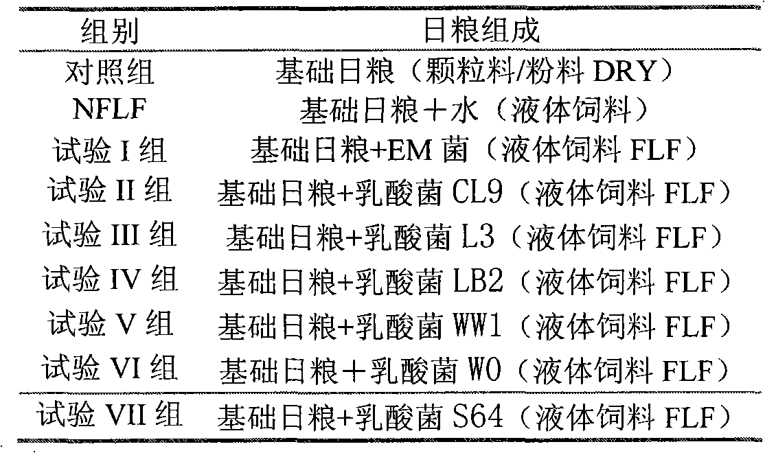 Lactobacillus reuteri fermented liquid feed, preparation method and application thereof