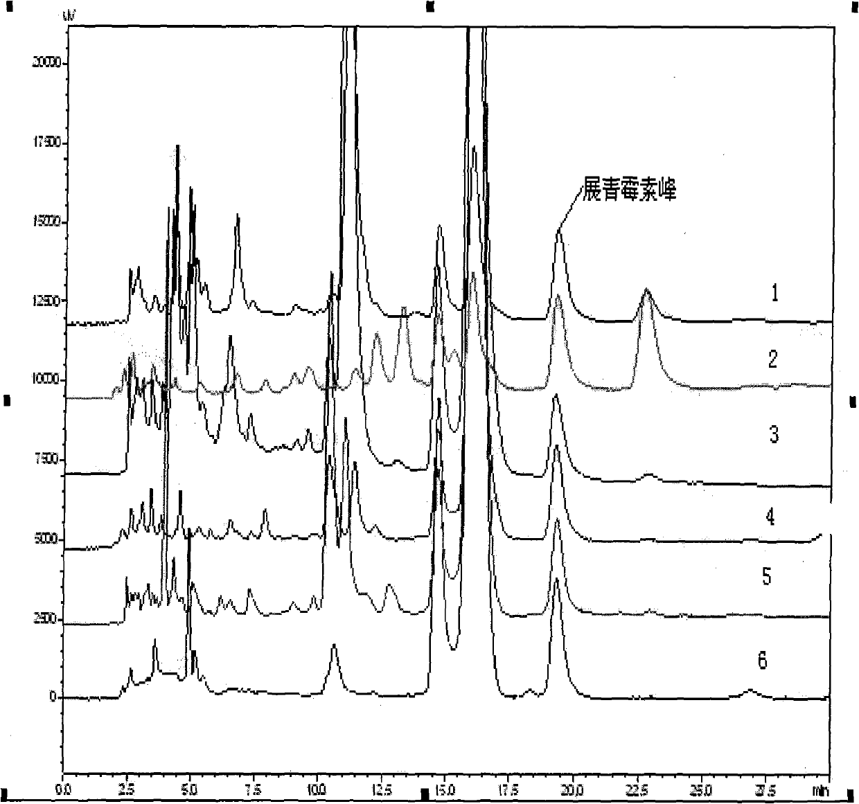 Solid phase extraction column for patulin