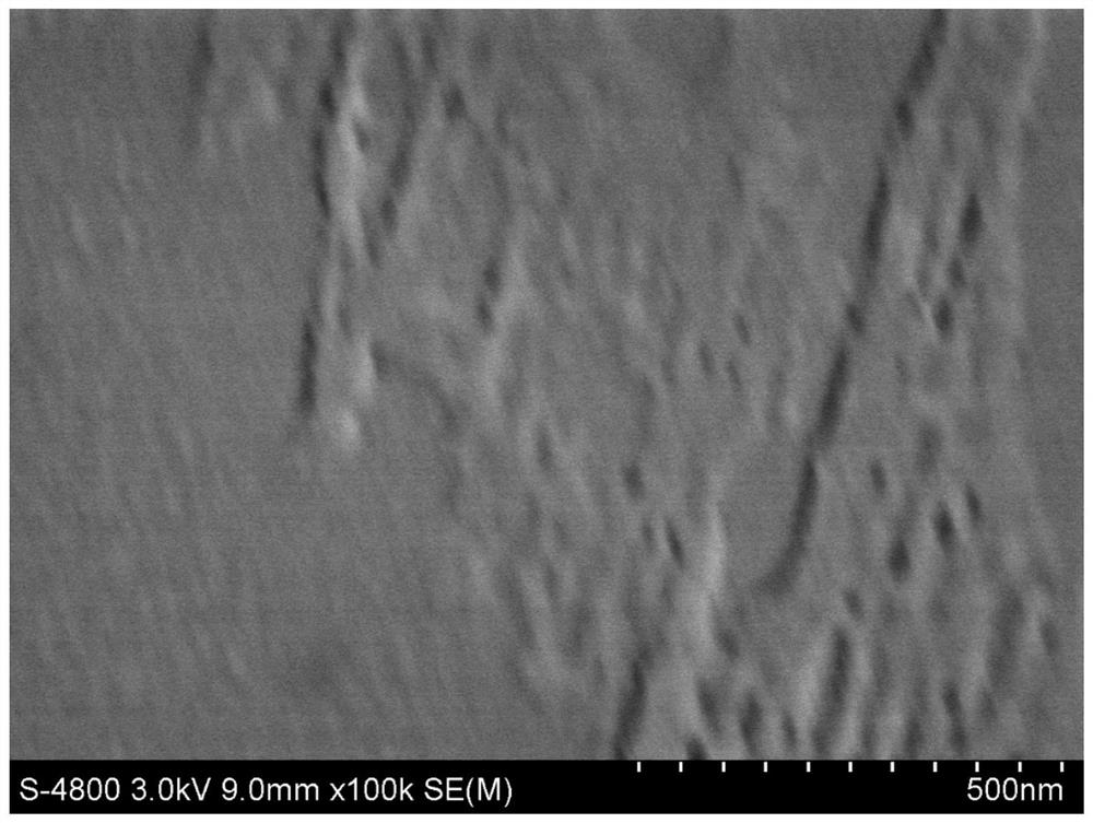 Regenerated tussah silk fibroin protein solution and preparation method thereof