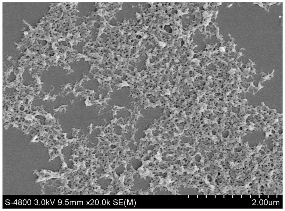 Regenerated tussah silk fibroin protein solution and preparation method thereof