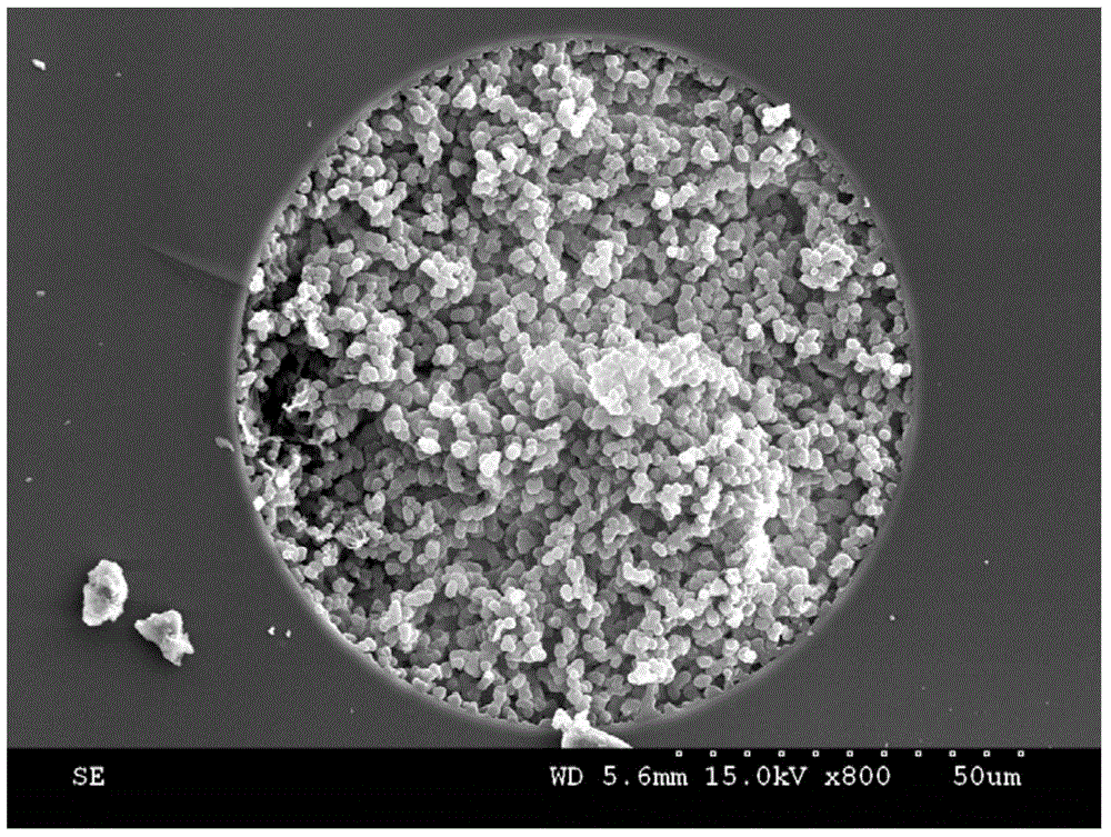 Method for rapidly detecting sulfonamide antibacterial medicines in milk by using in-tube solid-phase micro-extraction technology