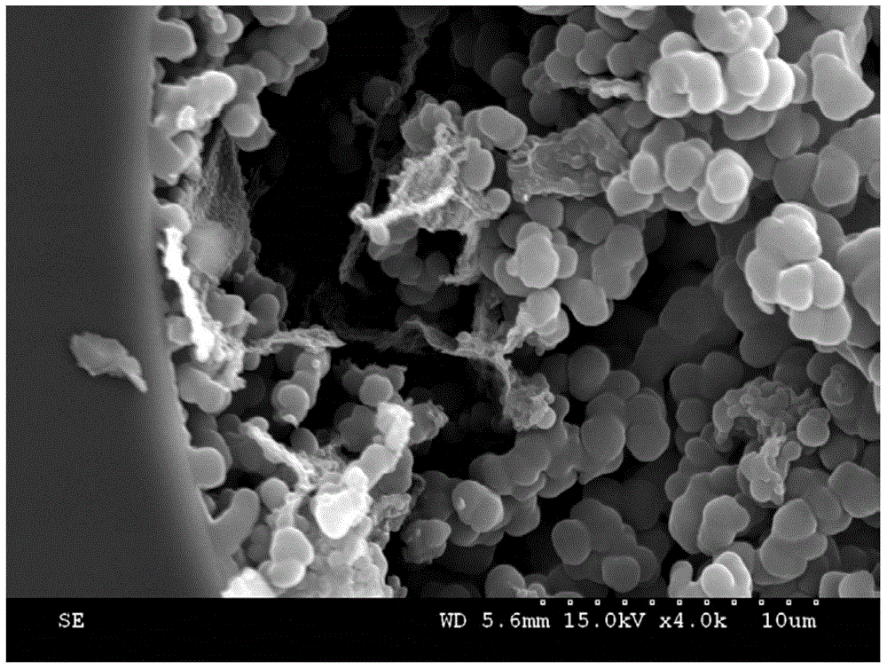 Method for rapidly detecting sulfonamide antibacterial medicines in milk by using in-tube solid-phase micro-extraction technology