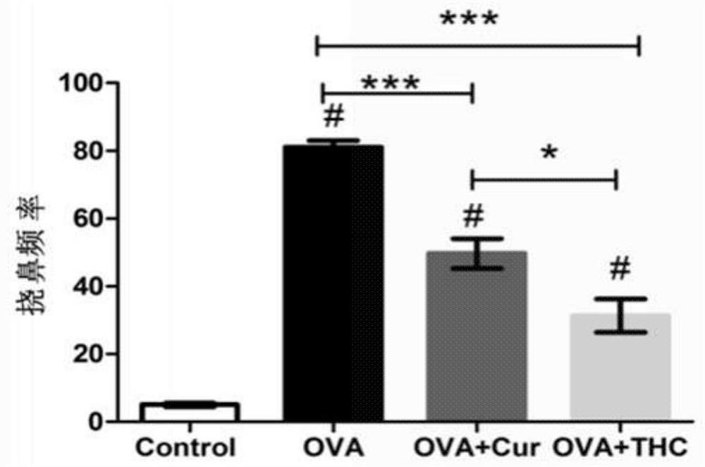 The Application of Tetrahydrocurcumin in Improving Allergic Asthma