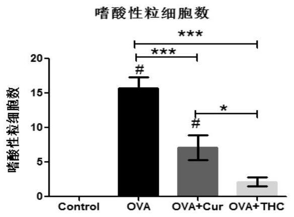 The Application of Tetrahydrocurcumin in Improving Allergic Asthma