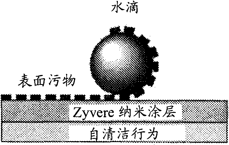 Dendritic polyurethane coating