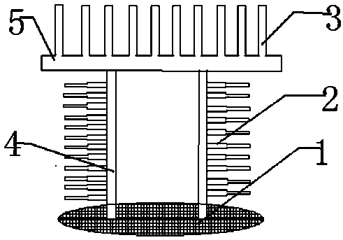 Double-row radiator for environment-friendly device