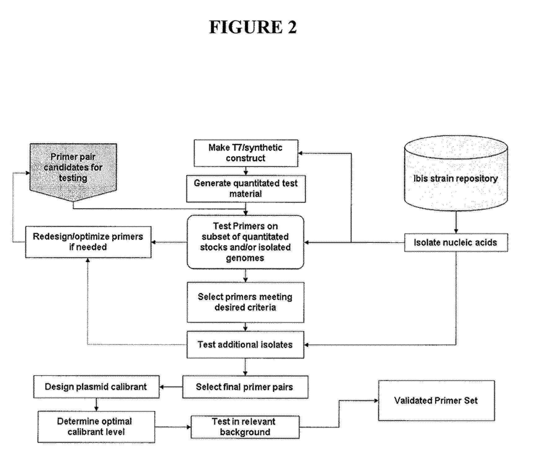 Compositions for use in identification of pseudomonas aeruginosa