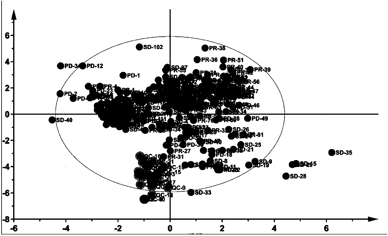 Novel markers for predicting efficacy of pemetrexed-platinum combined treatment on non-small cell lung cancer and its application