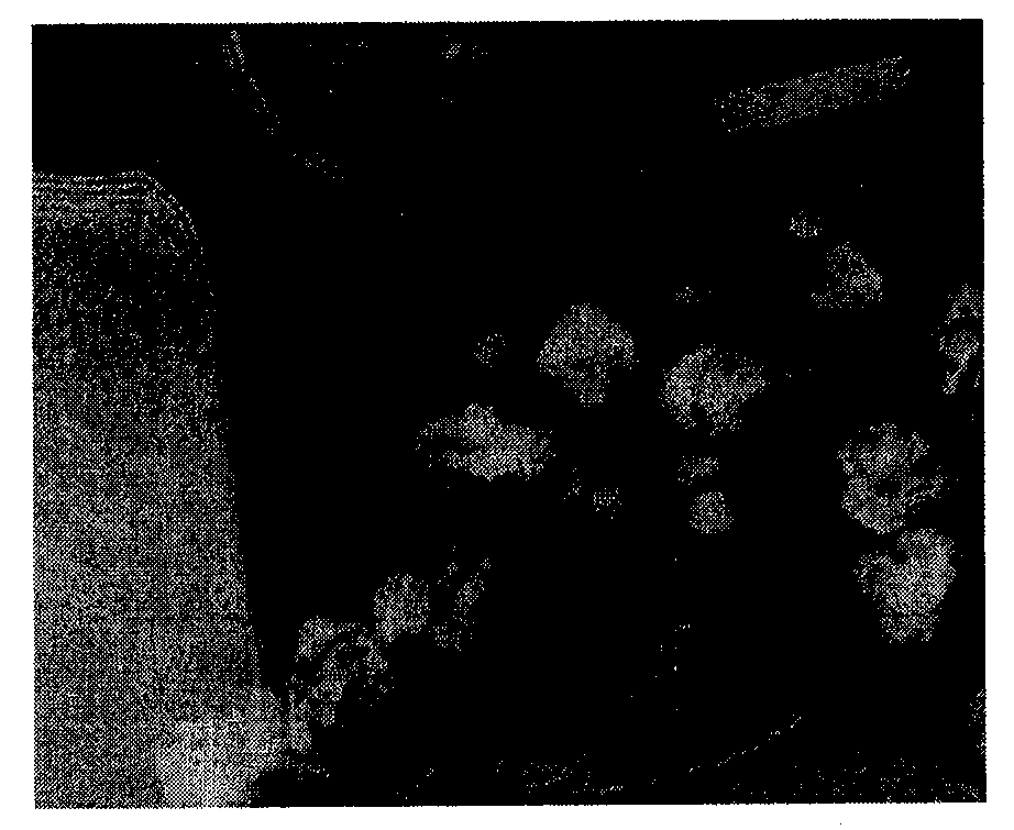 Method for preparing high-intensity and high-plasticity iron steel material with high manganese and aluminum contents