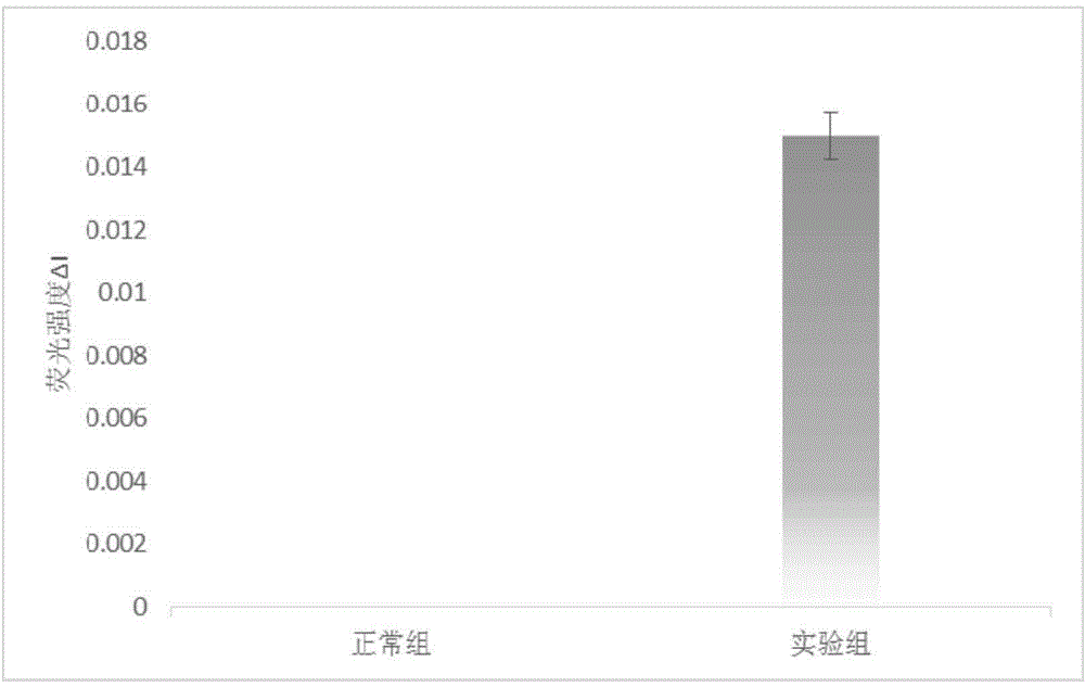 Image preparation applied to early rapid detection of Alzheimer's disease and multi-mode imaging of early rapid detection