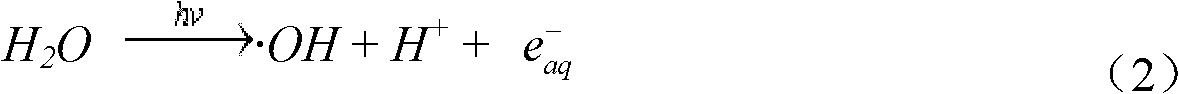 Degradation method for halogenated disinfection by-products