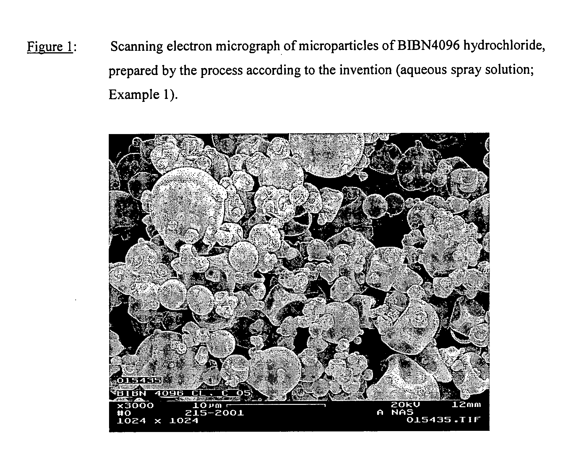 Salts of the CGRP antagonist BIBN4096 and inhalable powdered medicaments containing them