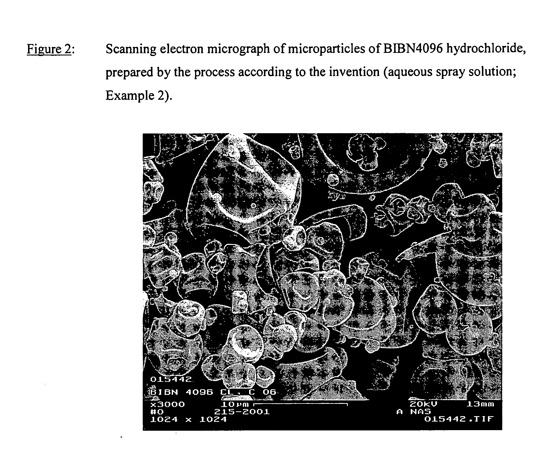 Salts of the CGRP antagonist BIBN4096 and inhalable powdered medicaments containing them