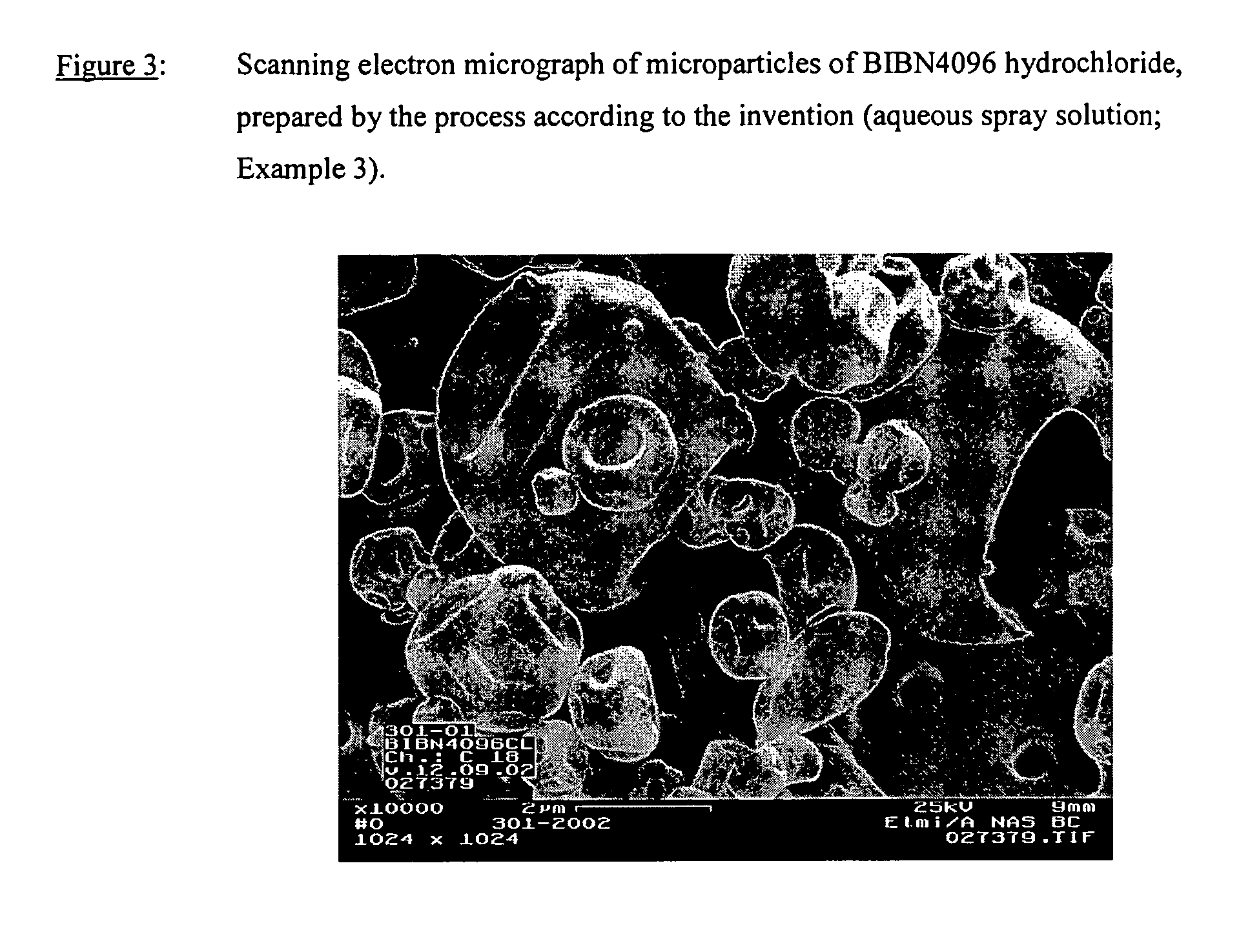 Salts of the CGRP antagonist BIBN4096 and inhalable powdered medicaments containing them