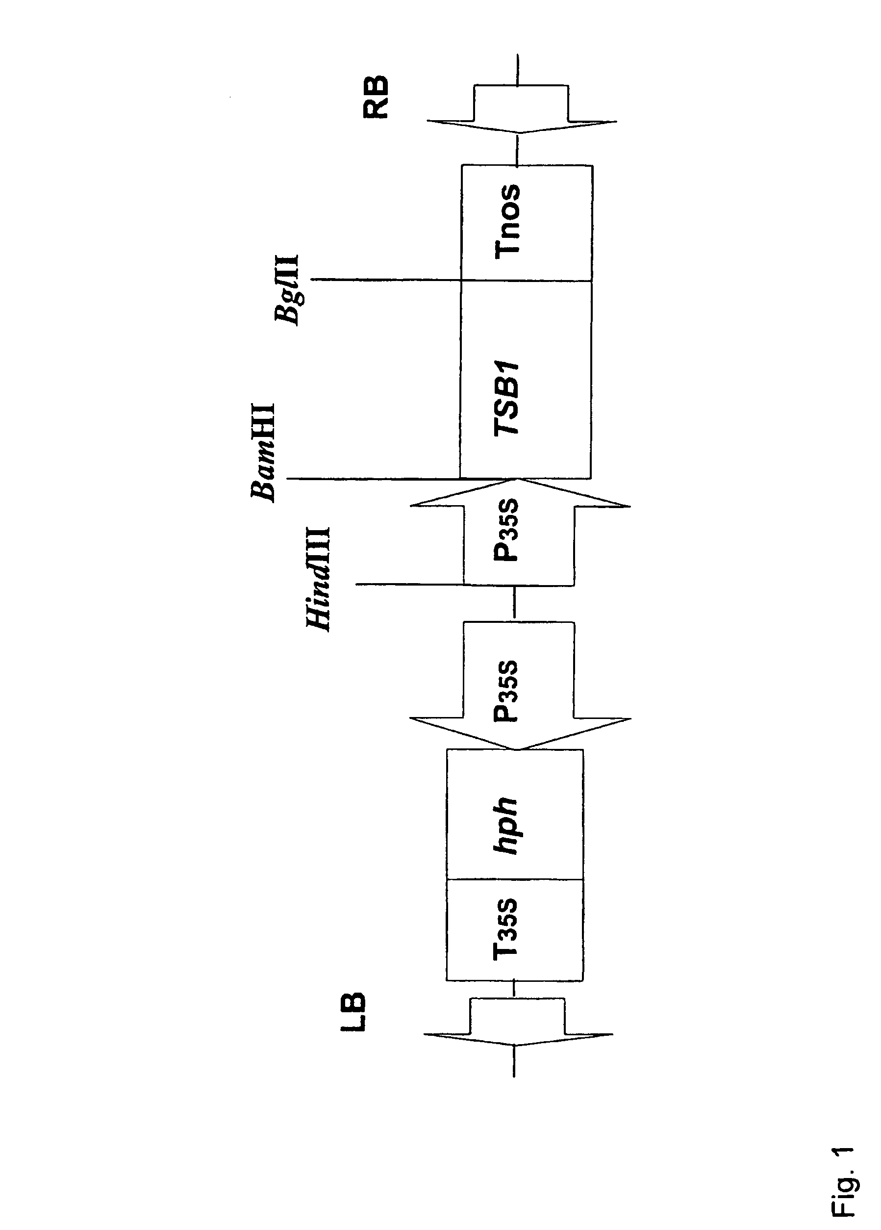 Non-antibiotic selection marker genes