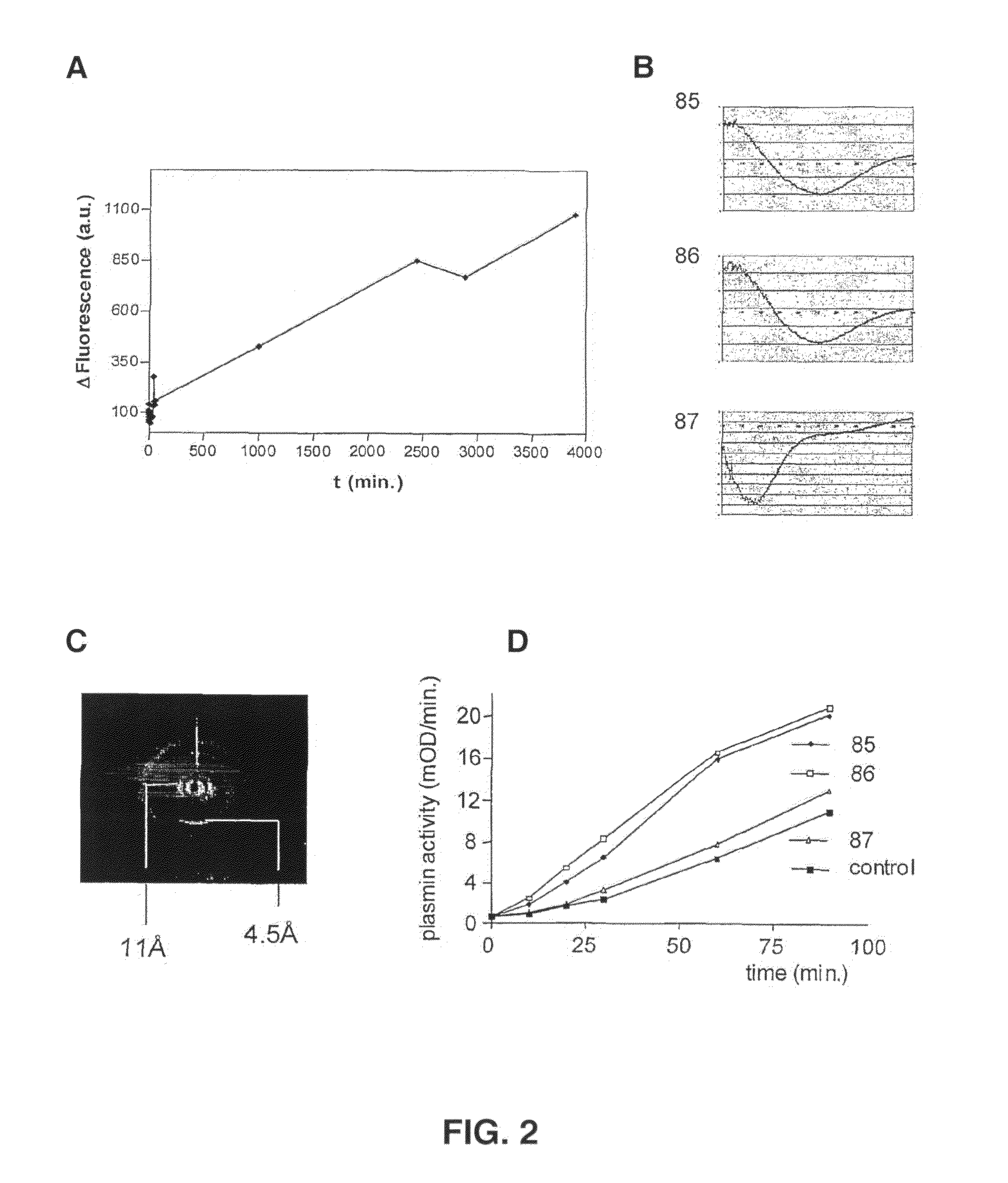 Cross-Beta Structure Comprising Amyloid Binding Proteins and Methods for Detection of the Cross-Beta Structure, for Modulating Cross-Beta Structures Fibril Formation and for Modulating Cross-Beta Structure-Mediated Toxicity and Method for Interfering With Blood Coagulation