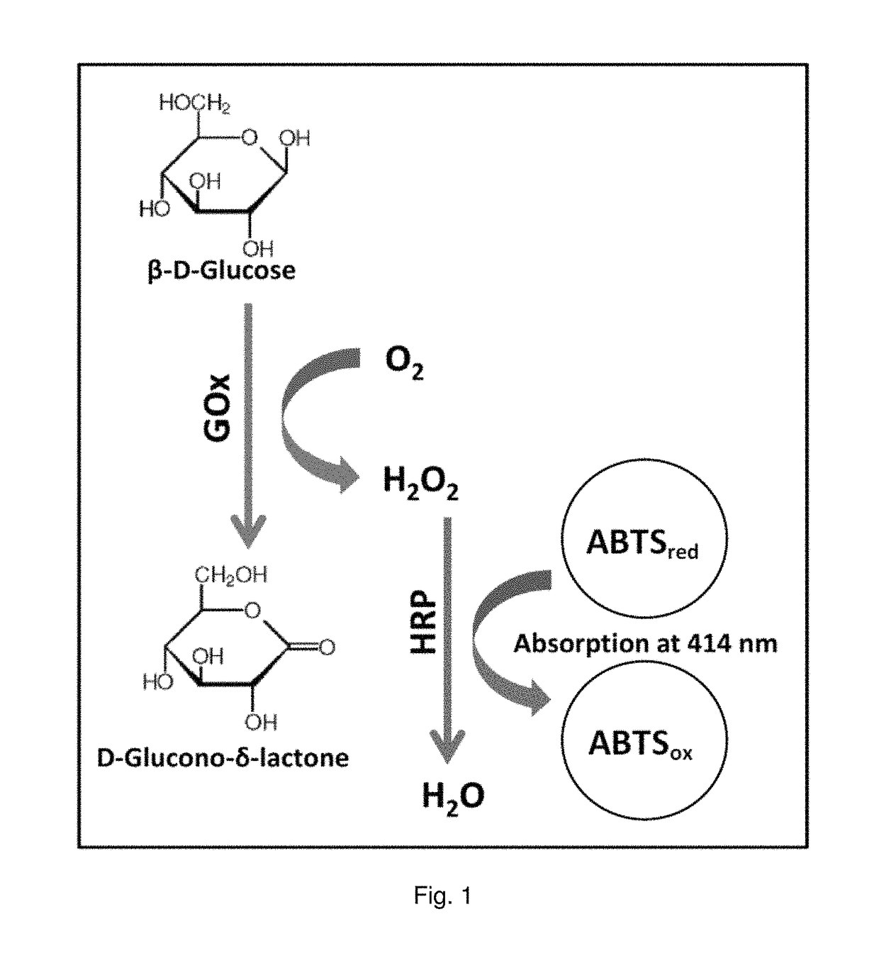 Glucose oxidase variants and methods of using the same