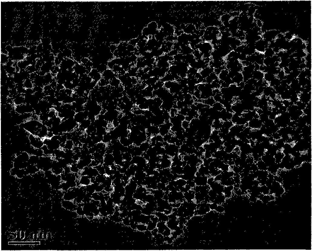 Preparation of fluorine and carbon co-doped nano-titanium dioxide visible light photocatalyst