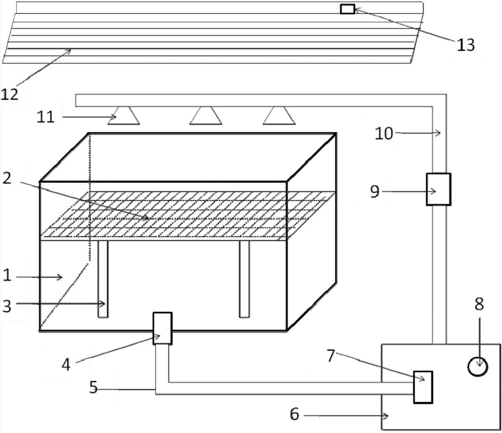 Device and method for sargassaceae seaweed germplasm preservation