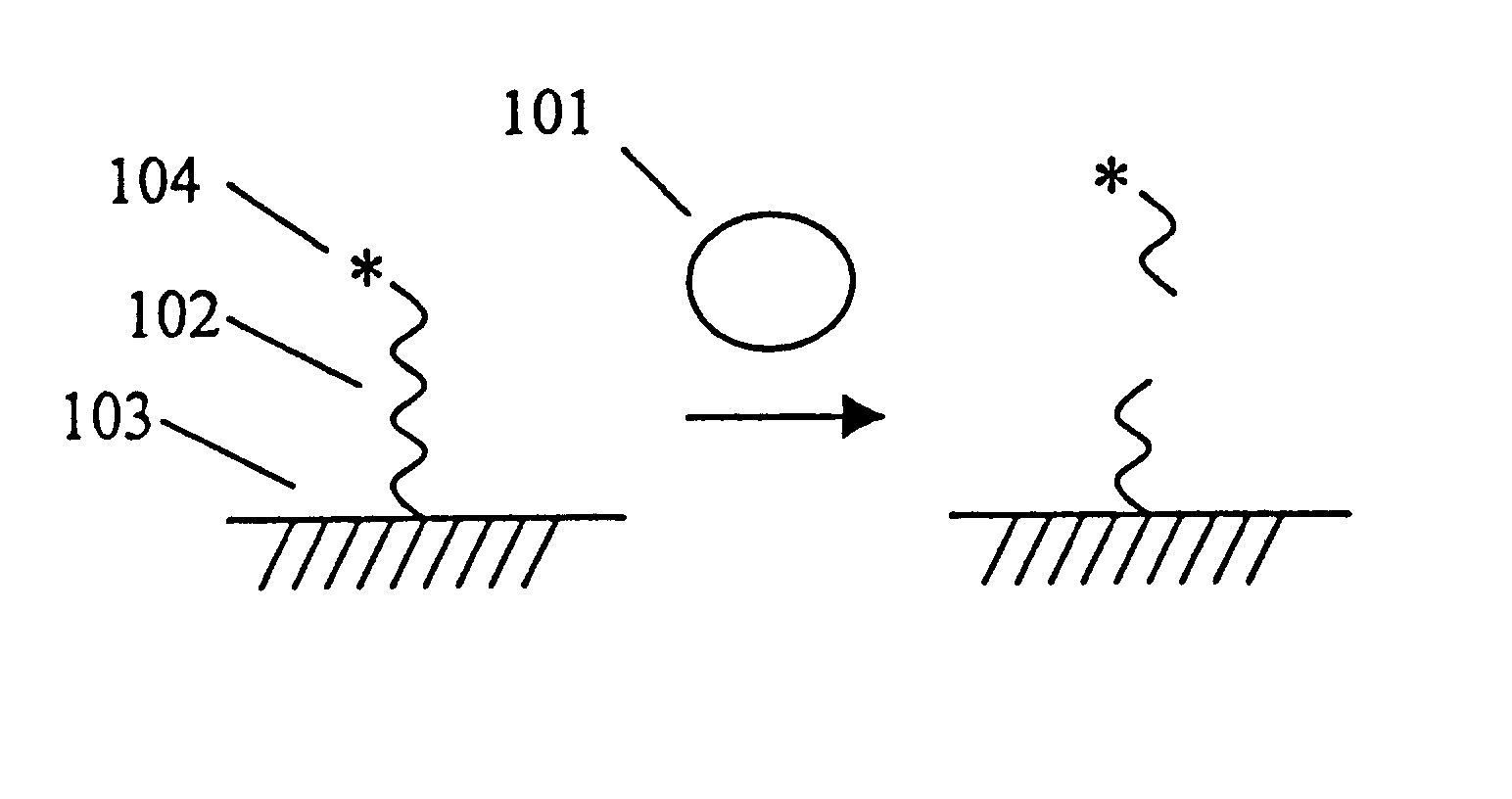 Assays for measuring nucleic acid damaging activities