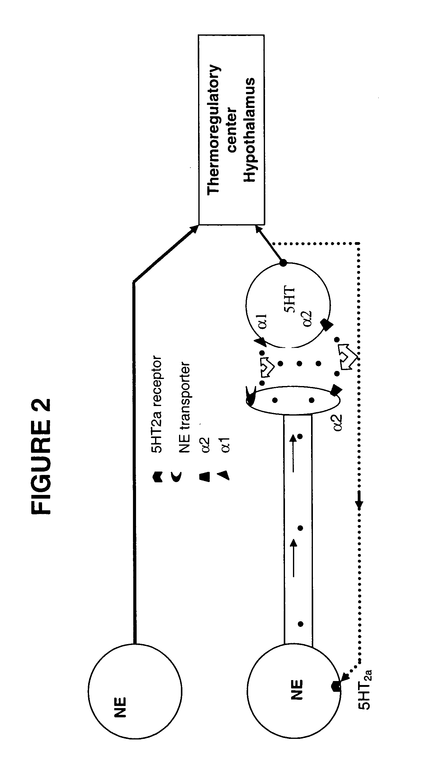 Method for treating nervous system disorders and conditions